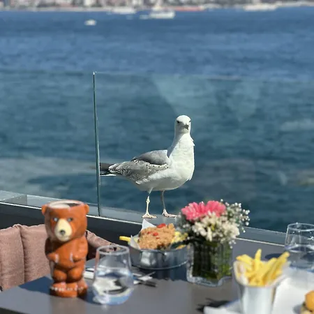 The Pera Bosphorus 4*