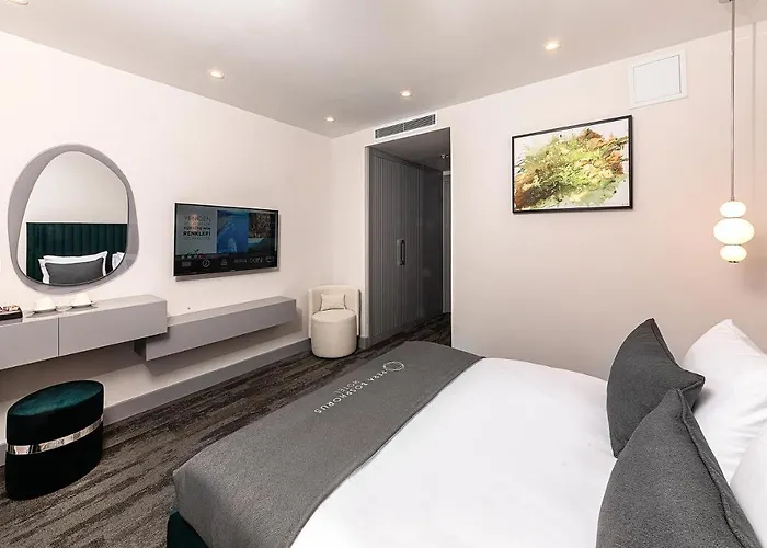 酒店 Pera Bosphorus