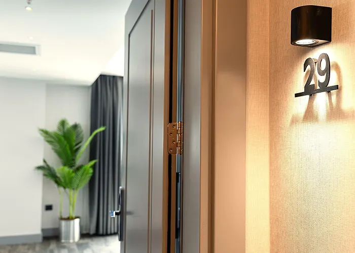 Pera Bosphorus 酒店 4*