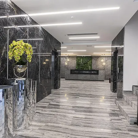 Pera Bosphorus Hotel 4*