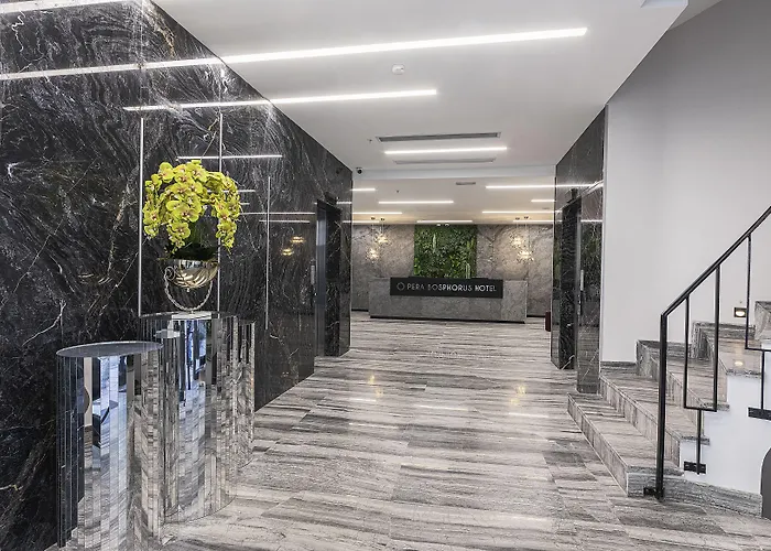 Pera Bosphorus ホテル 4*